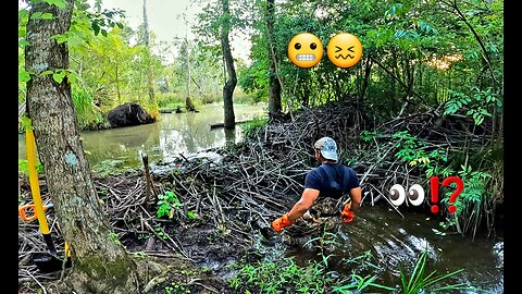 Muddy Beaver Dam Giving Me A Bad Feeling! || BEAVER DAM REMOVAL In Gator Creek! S3 EP. 12!