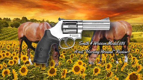 Smith & Wesson Model 686 - The Best General Purpose Revolver Made!