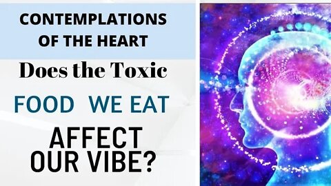 DOES THE TOXIC FOOD WE EAT AFFECT OUR VIBE?