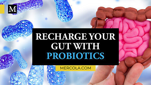 Recharge Your Gut With Probiotics