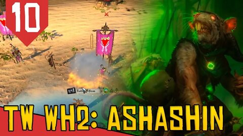 INVASÃO dos Elfos Negros - Total War Warhammer 2 Ashashin #10 [Gameplay Português PT-BR]