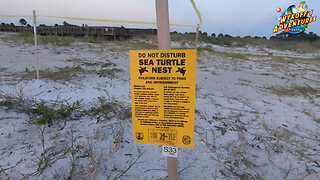 Stunning Beach Sunset and Sea Turtle Nesting Adventure at Fort De Soto Beach (Tierra Verde, Florida)