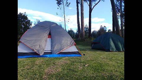 Buyer Reviews: ALPS Mountaineering Lynx 4-Person Tent