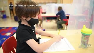 Masks now optional at Palm Beach County public schools