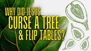 Why did Jesus Curse a Tree and Flip Tables? (Passion Week: Monday)