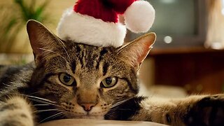 Ray Stevens - "Claws (A Cat's Letter To Santa)" (Official Audio)