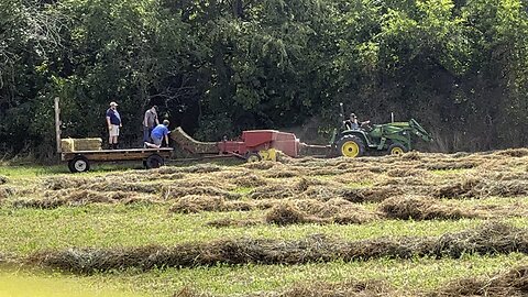 1st Time Bailing Hay 🚜 #farming #homesteading #bailinghay #ChamberlinFamilyFarms