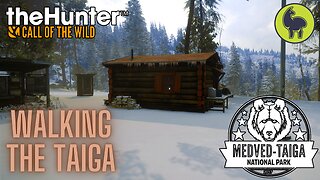 Walking the Taiga Medved Taiga | theHunter: Call of the Wild (PS5 4K)