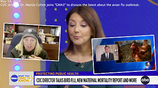 Dr Judy Mikovits | Why Is Mitt Romney Talking About Bird Flu? Why Is the CDC Launching Wastewater Dashboard to Track Bird Flu Virus Spread? + "It Has Always Been Infection Through Injection." - Dr. Judy Mikovits