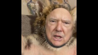 The Ultimate Donald Trump Baby Cheetah Meme! 🐆