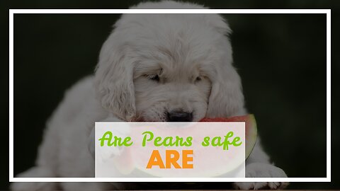 Are Pears safe for dogs?