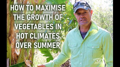 HOW TO MAXIMISE THE GROWTH OF VEGETABLES IN HOT CLIMATES OVER SUMMER