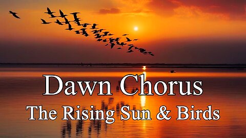 The Dawn Chorus: The Rising Sun & Birds