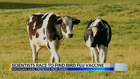 Scientists race to find bird flu.....