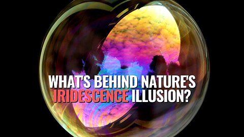 What's Behind Nature's Iridescence Illusion?