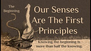 Our Five Senses Are The First Principles