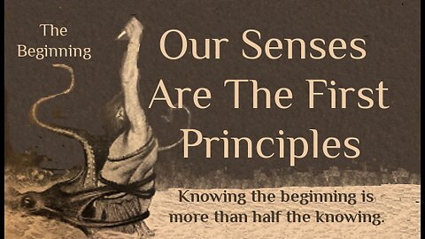 Our Five Senses Are The First Principles