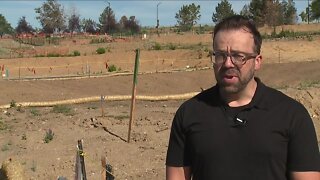 Marshall Fire victim reflects on rebuilding progress 6 months after losing everything