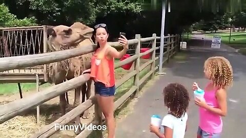 Funny moments of the week / cute people and animals doing funny things / part 8/