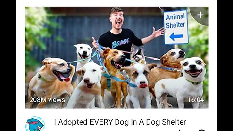 Adopted EVERY Dog In A Dog Shelter(720P_HD)