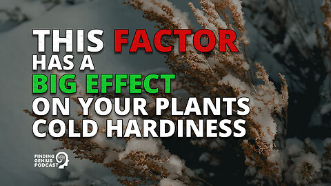 This Factor Has a Big Effect on Your Plants Cold Hardiness