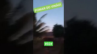 POMAR DO VINÃO #02#