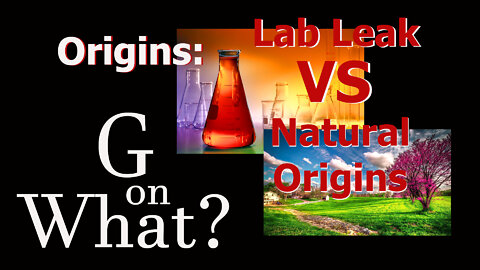 Lab Leak vs Natural Origins