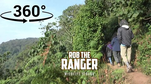 Join A Virtual Gorilla Trek In Uganda! (In 360° VR)