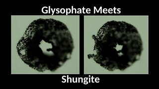 SHUNGITE REALITY 4-2-24 CLIP - Glyphosate Meets Shungiite Video