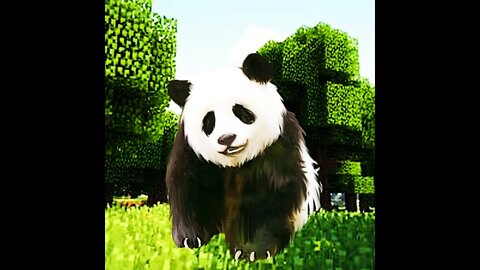 Realistic Panda in @Minecraft 🐼 #Shorts