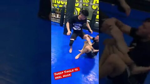 Sweep Single to Heel Hook - Takedown to Submission