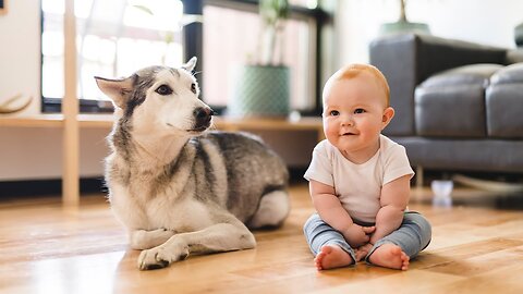 Dog and Baby Compilation NEW 2023