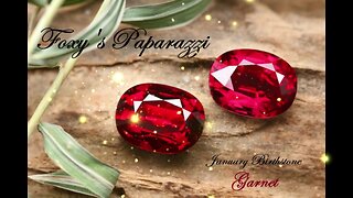 🌿💎🌿 Foxy's Paparazzi 🌿💎🌿 🎼 JANUARY Birthstone Jewelry 🎼