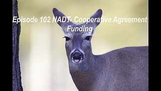Episode 102 NADT- Cooperative Agreement Funding
