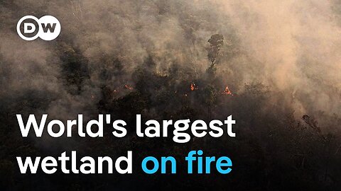 Wildfires burn 700,000 hectares of Pantanal wetland | DW News