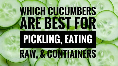WHICH CUCUMBERS ARE FOR PICKLING? CUCUMBERS BEST FOR EATING RAW? CUCUMBERS FOR CONTAINERS? RARE?
