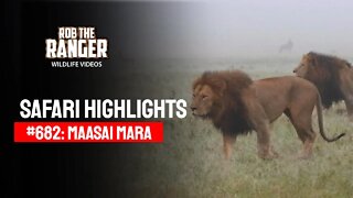 Safari Highlights #682: 31 March 2022 | Lalashe Maasai Mara | Latest Wildlife Sightings