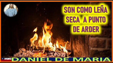 SON COMO LEÑA SECA A PUNTO DE ARDER - MENSAJE DE JESUCRISTO REY A DANIEL DE MARIA 7JUL22