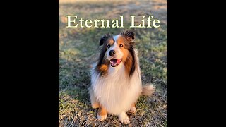 Eternal Life, 2172023