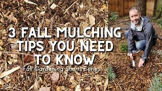 🍂 3 Fall Mulching Tips You Need to Know (for Beginners) #shorts 🍂