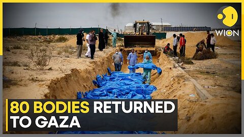 Israel-Hamas War: Israel returns bodies of 80 Palestinians to Gaza | Latest English News | WION | NE