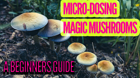 MICRODOSING ACTIVE MUSHROOMS (MAGIC MUSHROOMS) BASICS AND OVERVIEW