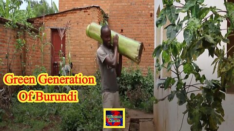 Africa Matters: Burundi's green generation takes charge