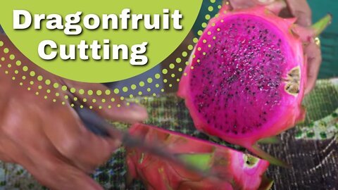 DRAGON FRUIT - HOW TO OPEN