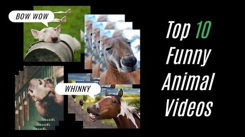 BEST ANIMALS COMEDY VIDEOS IN 2023 BY OYE PALANPURI ANIME