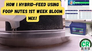 How I do a hybrid feeding of my cannabis plants with FOOP 1st week bloom nutrient mix shorts video!