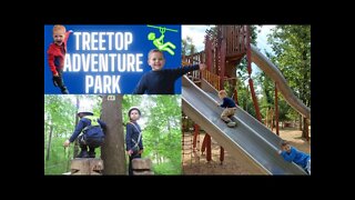 Family Fun Center - Kids Climbing The Trees