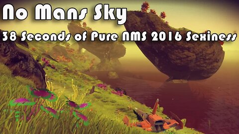 No Mans Sky I 38 Seconds of Pure NMS 2016 Sexiness ;)