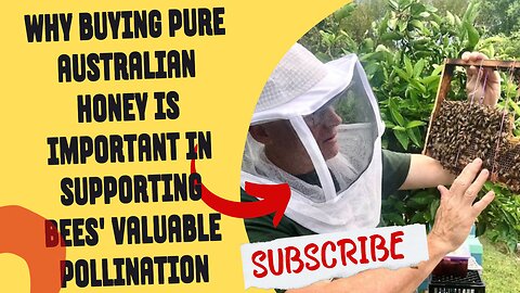 Why buying pure Australian honey is important in supporting bees' valuable pollination