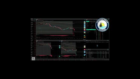 From Trades To Profits - VIP Member's +40% Account Profit In The Stock Market